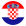 Circular Croatian Flag