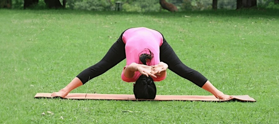 Prasarita Padahastasana  inline