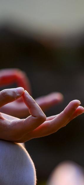 Yoga Mudras for Holistic Health