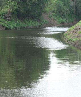 Water Rejuvenation in Palar River