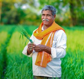 Natural farming brings this ex-commander back home