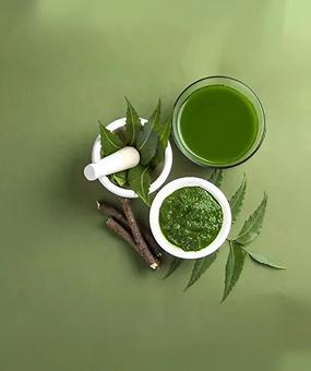 use of neem
