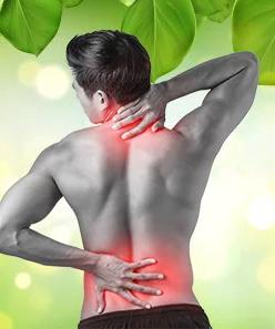 BP_Ayurveda for back pain relief