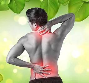 BP_Ayurveda for back pain relief