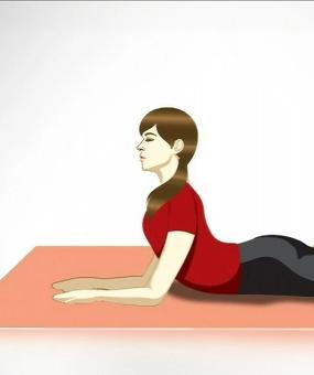 Salamba bhujangasana sphinx pose yoga