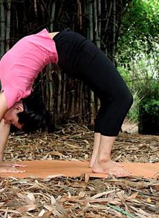 chakrasana wheel pose