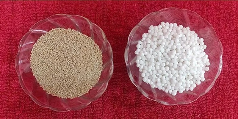 Samak and sabudana - inline image