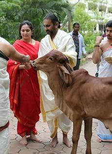 ayudh puja