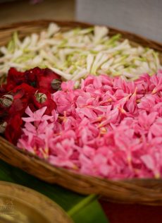 Flower in plate