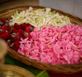 Flower in plate