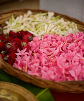 Flower in plate