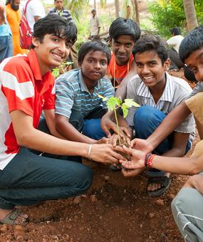 Tree plantation by Youth