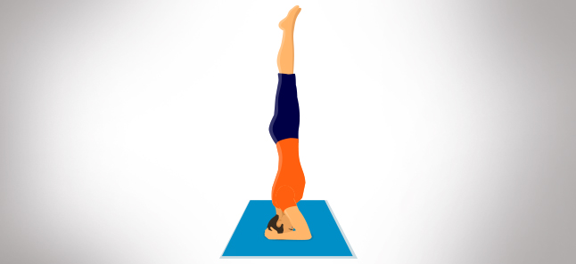 Sirsasana The Yogic Headstand Head Stand Pose The Art Of Living India