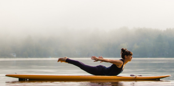 locust pose salabhasana