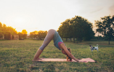 downward-facing dog pose