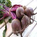 Beetroot