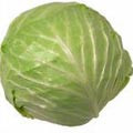 Cabbage