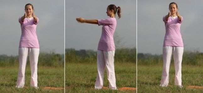 Postures to improve balance such as ardhachakra, veera, and vrikshasana. |  Download Scientific Diagram