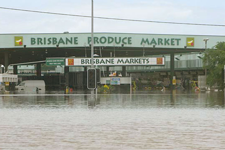 Flood Relief Work In Brisbane | Disaster Relief | The Art Of Living Global