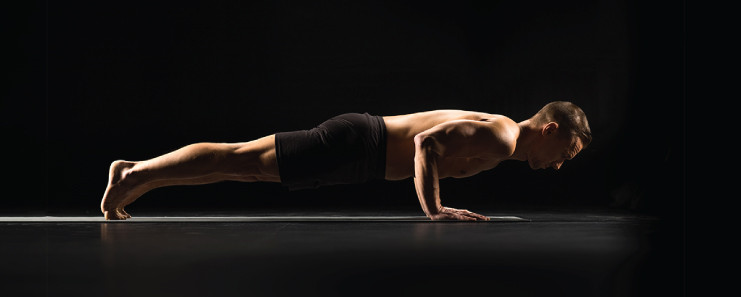 Astha Yoga - CHATURANGA DANDASANA/ FOUR LIMBED STAFF POSE