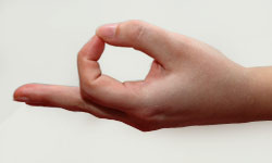 Chin Mudra