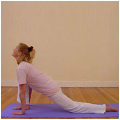 Surya Namaskar / Sun Salutation Step4