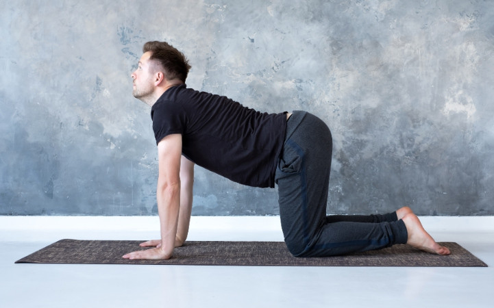 cat cow pose