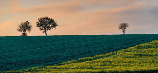 meditation-nature