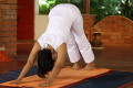 Adho Mukha Svanasana Yoga Pose - Downward Facing Dog Yoga Pose