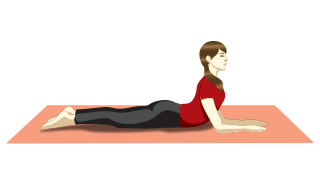 Sphinx pose - Salamba Bhujangasana